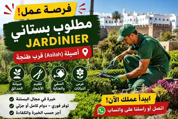 فرصة عمل بأصيلة طنجة